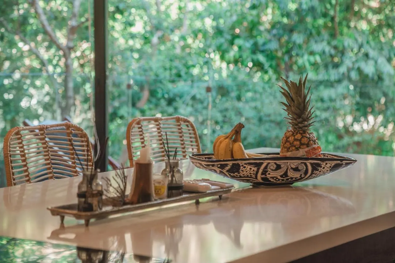 Lägenhet Kataleya Tulum By Zaazil - New Luxury Amazing Combo For Up To 20 People - Penthouse Plus Aptartment , Private Pool, Terrace , Roof Top And Hot Tub In Luum Zama In The Jungle