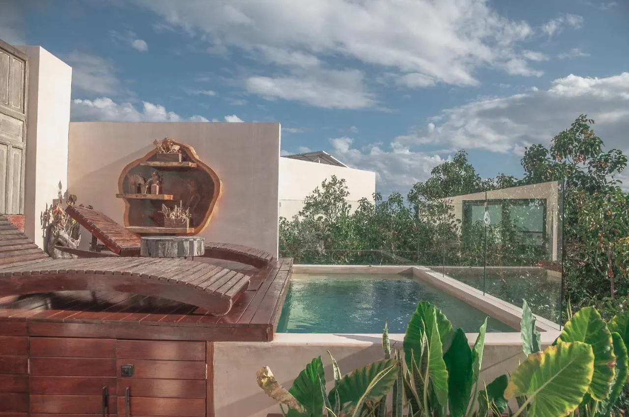 Kataleya Tulum By Zaazil - New Luxury Amazing Combo For Up To 20 People - Penthouse Plus Aptartment , Private Pool, Terrace , Roof Top And Hot Tub In Luum Zama In The Jungle 0*,  Mexiko