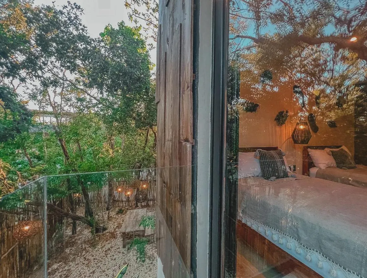 Kataleya Tulum By Zaazil - New Luxury Amazing Combo For Up To 20 People - Penthouse Plus Aptartment , Private Pool, Terrace , Roof Top And Hot Tub In Luum Zama In The Jungle