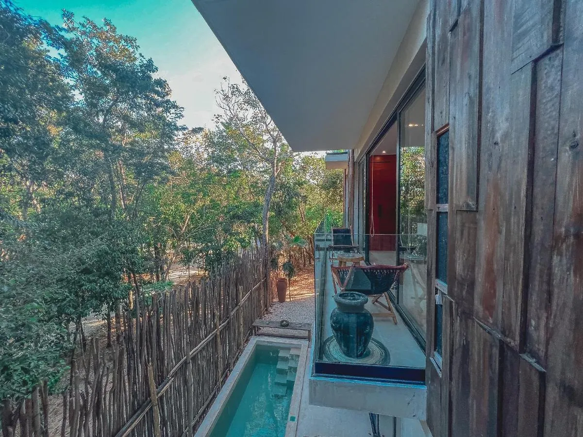 Kataleya Tulum By Zaazil - New Luxury Amazing Combo For Up To 20 People - Penthouse Plus Aptartment , Private Pool, Terrace , Roof Top And Hot Tub In Luum Zama In The Jungle Mexico