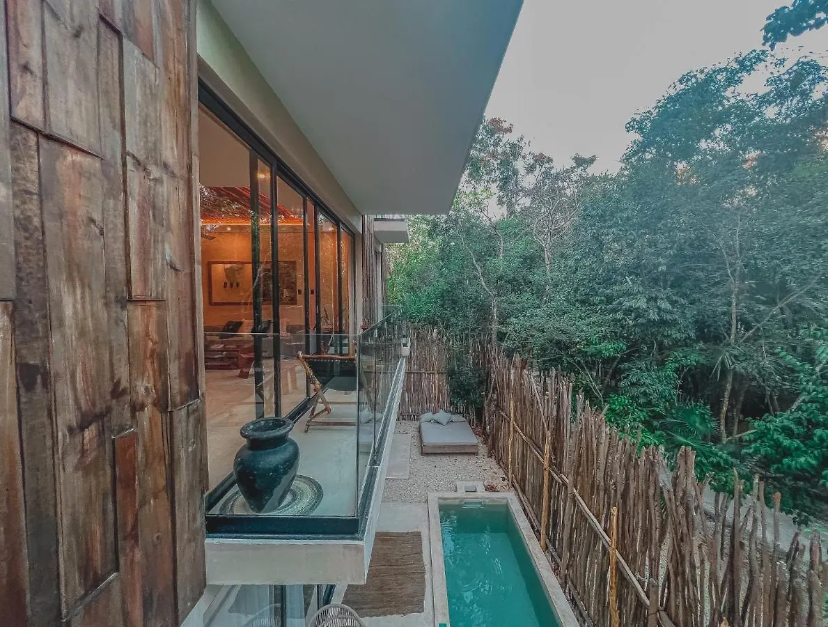 Kataleya Tulum By Zaazil - New Luxury Amazing Combo For Up To 20 People - Penthouse Plus Aptartment , Private Pool, Terrace , Roof Top And Hot Tub In Luum Zama In The Jungle