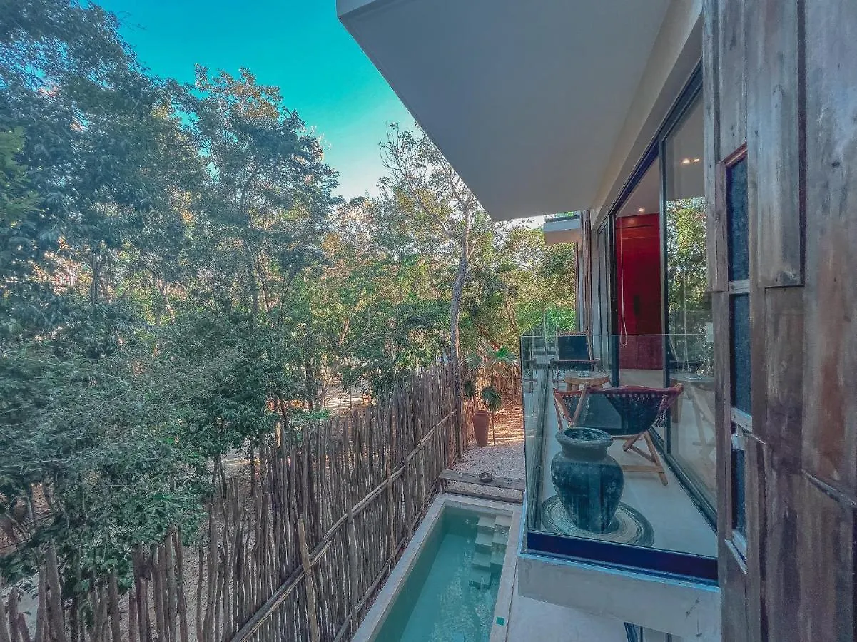 Kataleya Tulum By Zaazil - New Luxury Amazing Combo For Up To 20 People - Penthouse Plus Aptartment , Private Pool, Terrace , Roof Top And Hot Tub In Luum Zama In The Jungle
